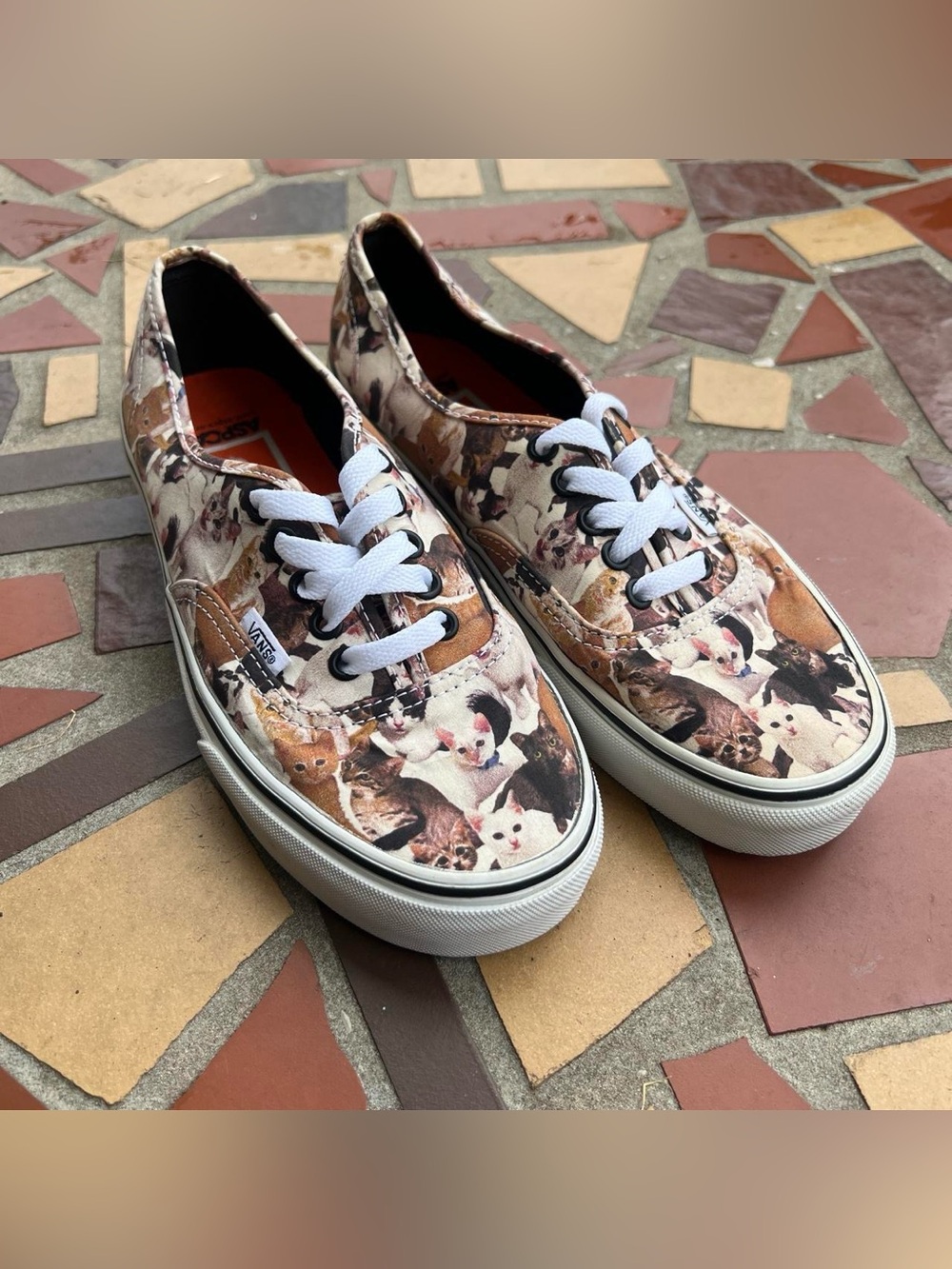 Vans X ASPCA Limited Edition Cat Sneakers